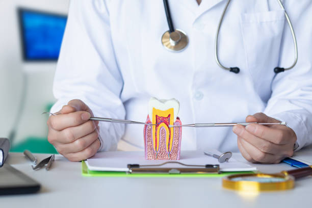Best Emergency Dentist for Knocked-Out Tooth in Somers, WI